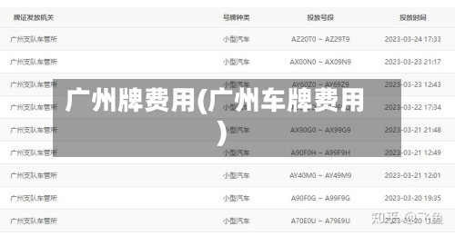 广州牌费用(广州车牌费用)