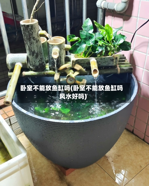 卧室不能放鱼缸吗(卧室不能放鱼缸吗风水好吗)