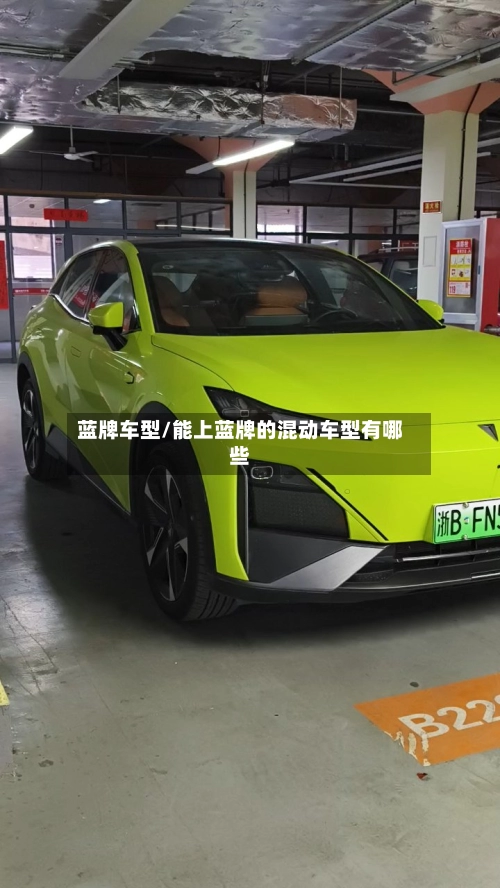 蓝牌车型/能上蓝牌的混动车型有哪些