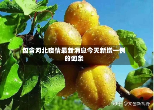 包含河北疫情最新消息今天新增一例的词条