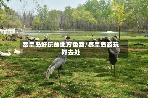 秦皇岛好玩的地方免费/秦皇岛游玩好去处