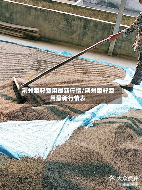 荆州菜籽费用最新行情/荆州菜籽费用最新行情表