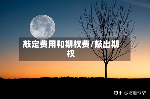 敲定费用和期权费/敲出期权