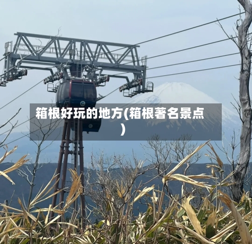 箱根好玩的地方(箱根著名景点)