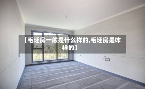 【毛坯房一般是什么样的,毛坯房是咋样的】