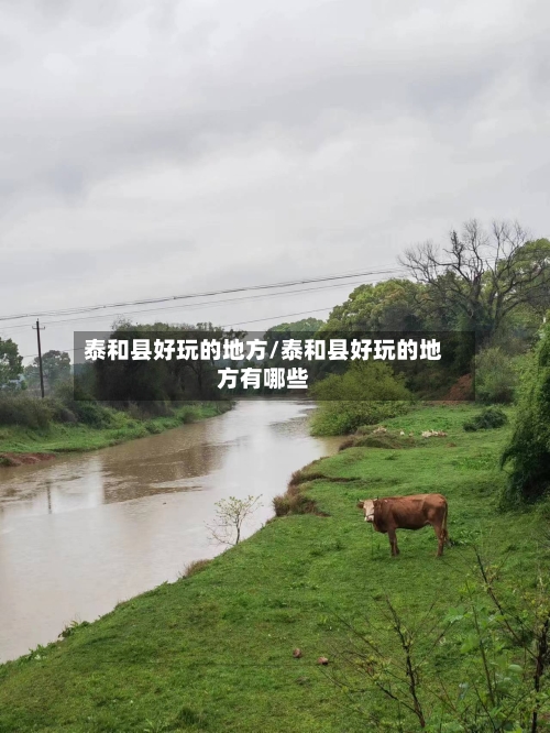 泰和县好玩的地方/泰和县好玩的地方有哪些