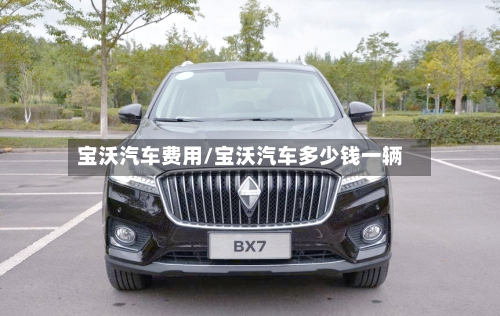 宝沃汽车费用/宝沃汽车多少钱一辆