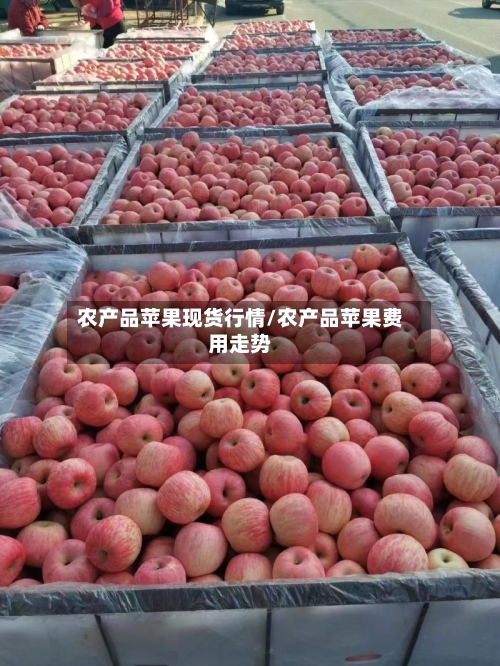 农产品苹果现货行情/农产品苹果费用走势
