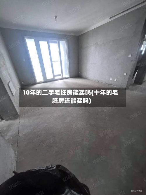 10年的二手毛坯房能买吗(十年的毛胚房还能买吗)-第3张图片