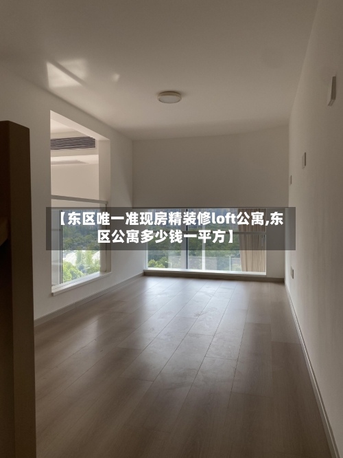 【东区唯一准现房精装修loft公寓,东区公寓多少钱一平方】