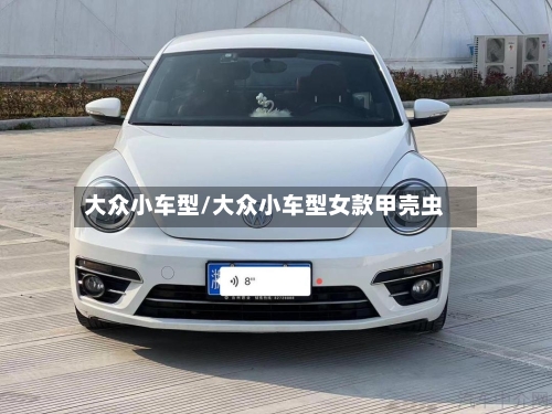 大众小车型/大众小车型女款甲壳虫-第3张图片