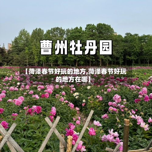 【菏泽春节好玩的地方,菏泽春节好玩的地方在哪】