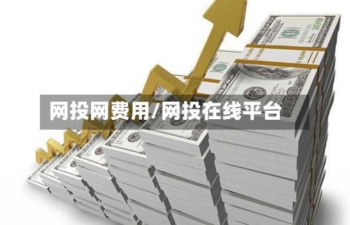 网投网费用/网投在线平台-第3张图片