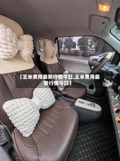 【王米费用最新行情今日,王米费用最新行情今日】