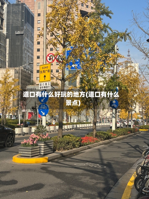 道口有什么好玩的地方(道口有什么景点)-第3张图片