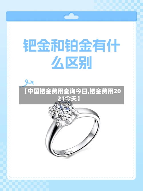 【中国钯金费用查询今日,钯金费用2021今天】-第2张图片