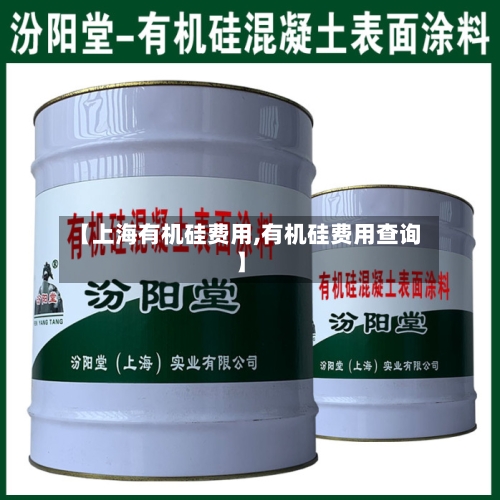 【上海有机硅费用,有机硅费用查询】-第3张图片