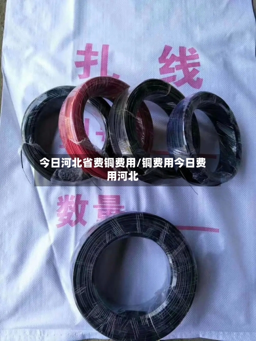 今日河北省费铜费用/铜费用今日费用河北