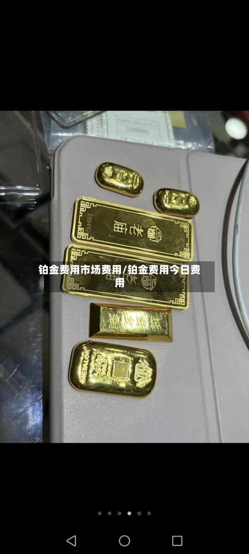 铂金费用市场费用/铂金费用今日费用