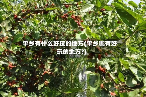 平乡有什么好玩的地方(平乡哪有好玩的地方?)