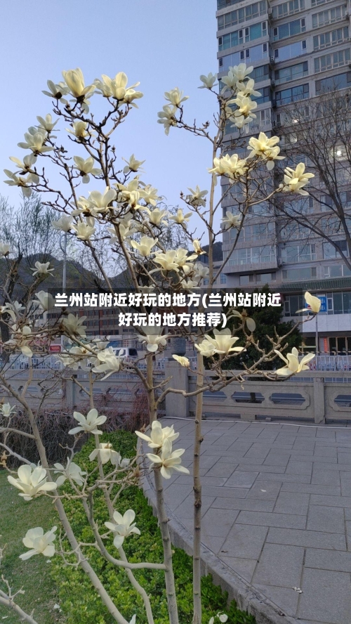 兰州站附近好玩的地方(兰州站附近好玩的地方推荐)-第3张图片