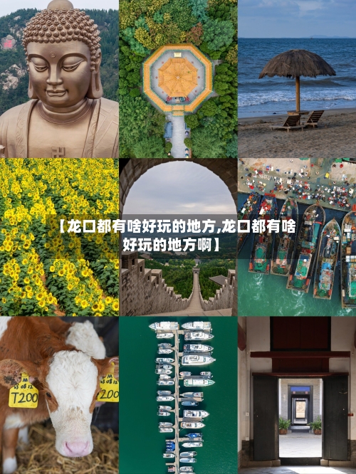 【龙口都有啥好玩的地方,龙口都有啥好玩的地方啊】-第2张图片