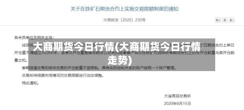 大商期货今日行情(大商期货今日行情走势)