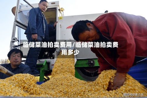 临储菜油拍卖费用/临储菜油拍卖费用多少