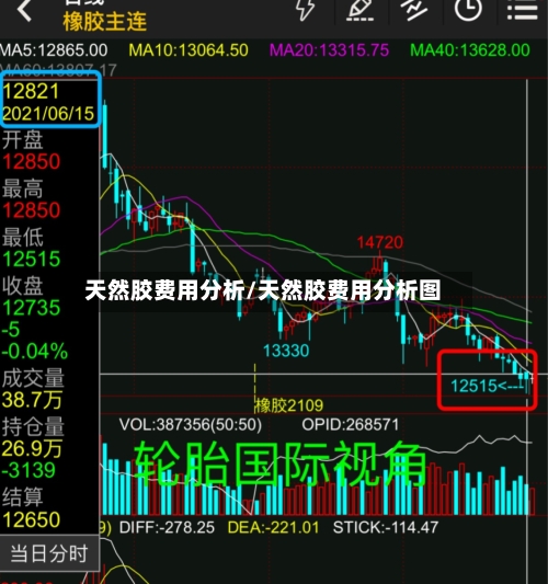 天然胶费用分析/天然胶费用分析图-第2张图片