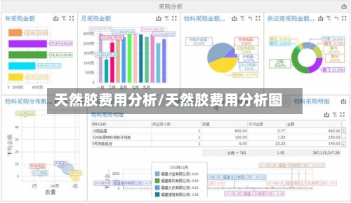 天然胶费用分析/天然胶费用分析图-第3张图片
