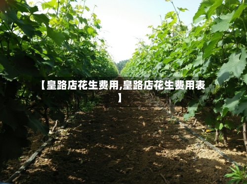 【皇路店花生费用,皇路店花生费用表】-第3张图片