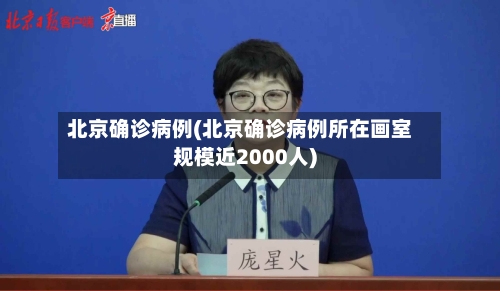 北京确诊病例(北京确诊病例所在画室规模近2000人)