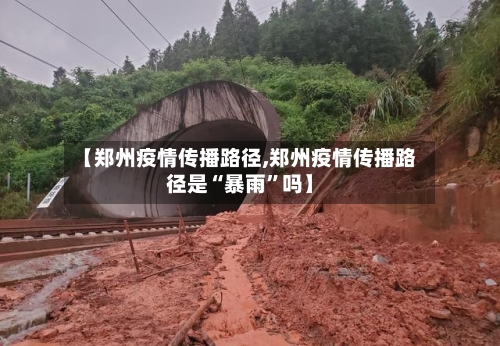 【郑州疫情传播路径,郑州疫情传播路径是“暴雨”吗】-第3张图片