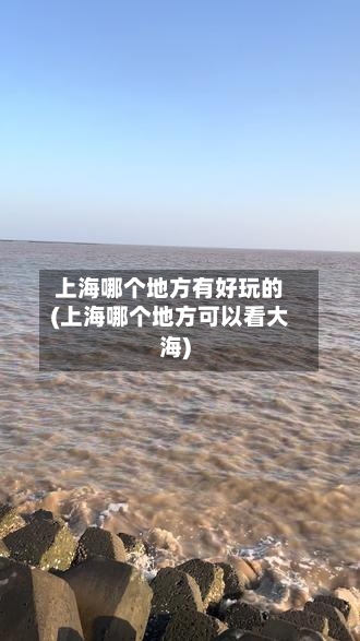上海哪个地方有好玩的(上海哪个地方可以看大海)-第3张图片