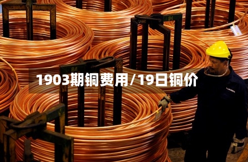 1903期铜费用/19日铜价
