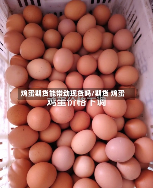 鸡蛋期货能带动现货吗/期货 鸡蛋-第2张图片