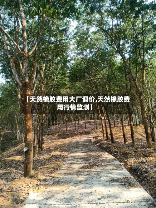 【天然橡胶费用大厂调价,天然橡胶费用行情监测】