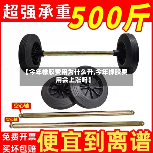 【今年橡胶费用为什么升,今年橡胶费用会上涨吗】-第2张图片