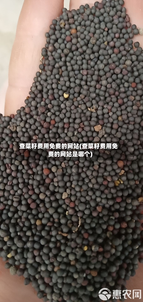 查菜籽费用免费的网站(查菜籽费用免费的网站是哪个)