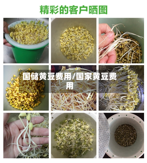 国储黄豆费用/国家黄豆费用