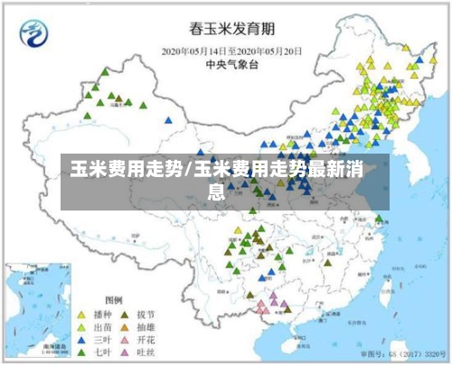 玉米费用走势/玉米费用走势最新消息