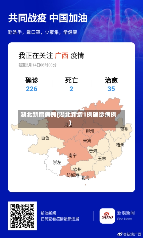 湖北新增病例(湖北新增1例确诊病例)-第2张图片