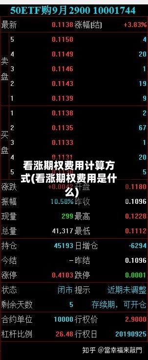 看涨期权费用计算方式(看涨期权费用是什么)