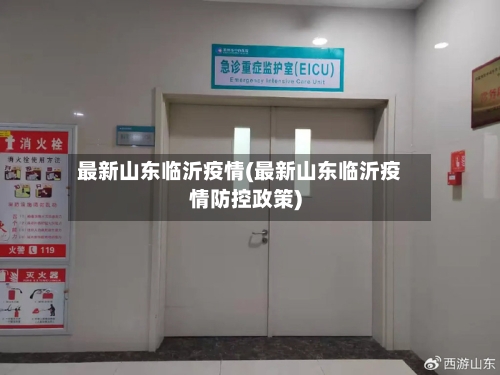 最新山东临沂疫情(最新山东临沂疫情防控政策)-第2张图片