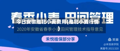 今日安徽淮北小麦费用(淮北小麦行情)-第3张图片