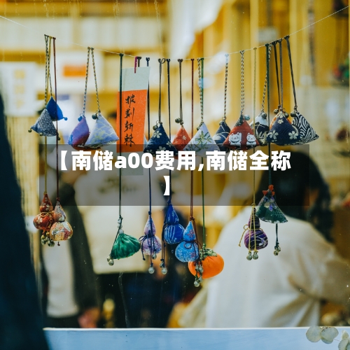 【南储a00费用,南储全称】