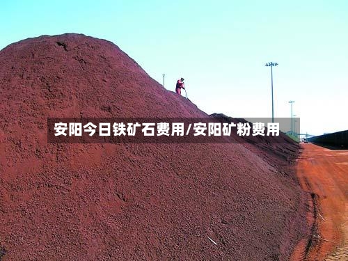 安阳今日铁矿石费用/安阳矿粉费用