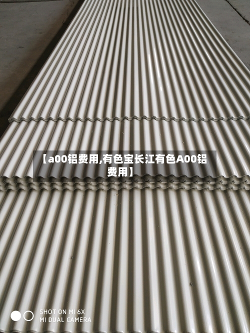 【a00铝费用,有色宝长江有色A00铝费用】-第2张图片