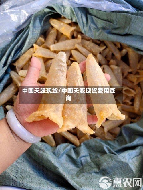中国天胶现货/中国天胶现货费用查询-第2张图片