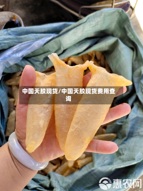 中国天胶现货/中国天胶现货费用查询